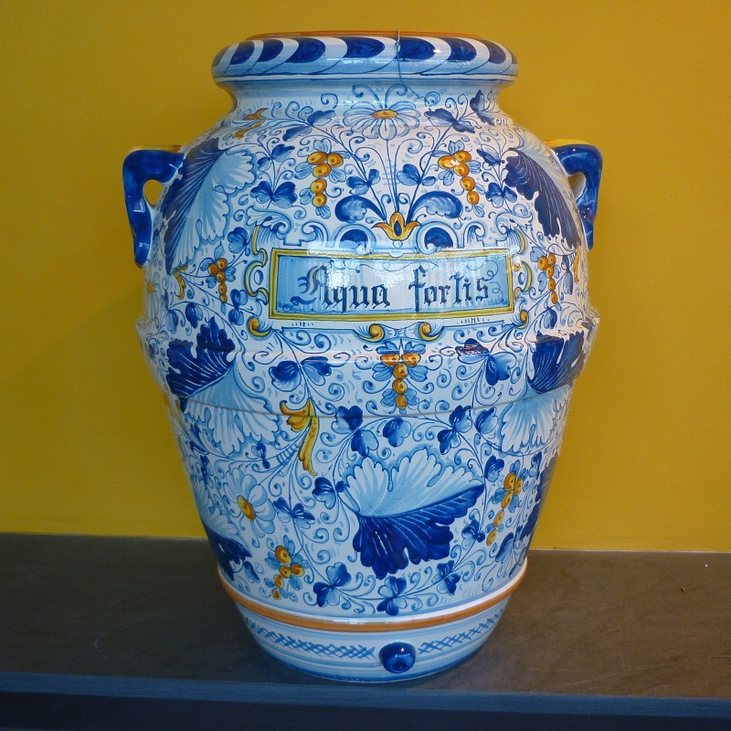 orcio foglie blu-celesti "Aqua fortis"